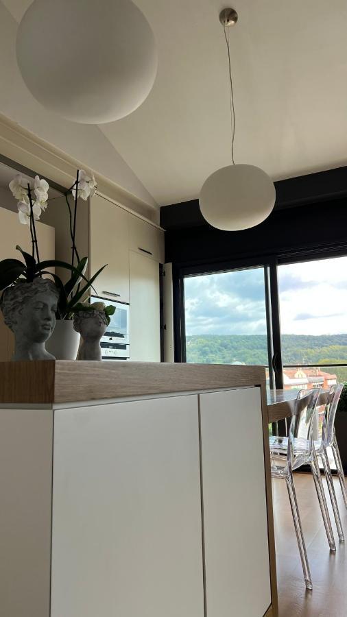 Atico De Diseno Con Terraza En El Centro De Olot Apartment Bagian luar foto