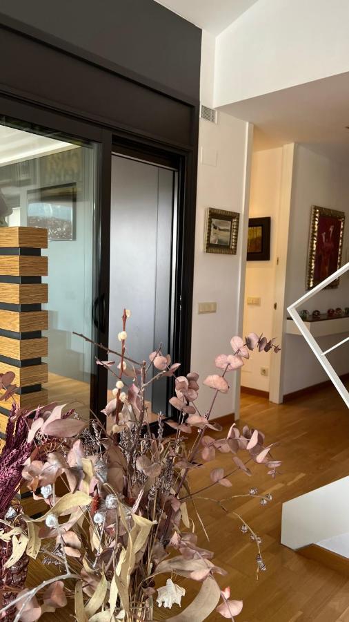 Atico De Diseno Con Terraza En El Centro De Olot Apartment Bagian luar foto